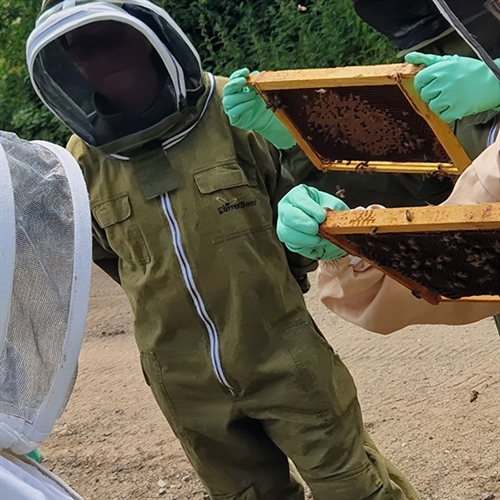 Beekeeping Weekend Experience